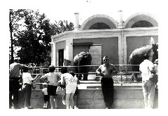 Bruce Dorrough; zoo